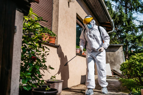 Wasp Removal Services in Radisson, NY