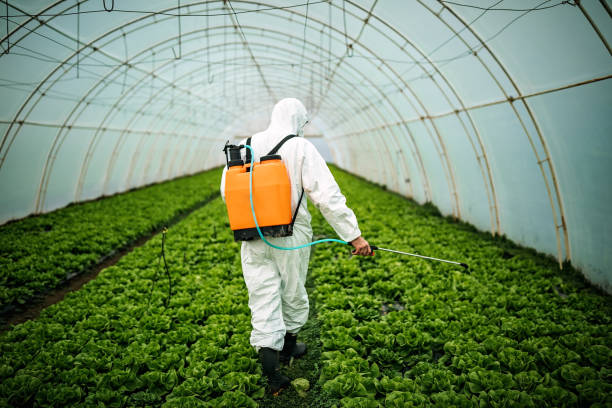 Best Ant Control Services  in Radisson, NY