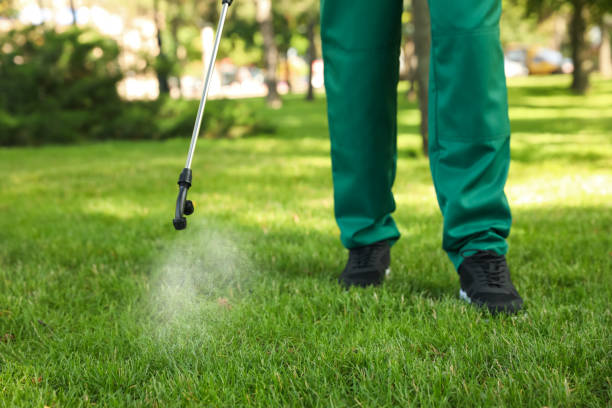 Best Wasp Removal Services  in Radisson, NY