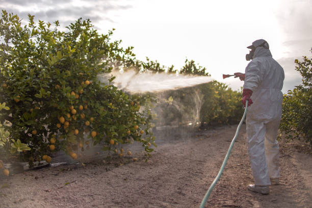 Best Insect Control  in Radisson, NY