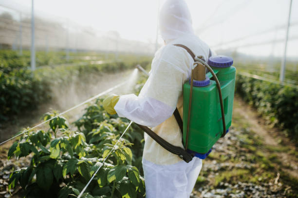 Best Affordable Pest Control Services  in Radisson, NY